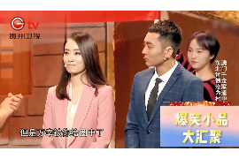 安徽融资清欠服务